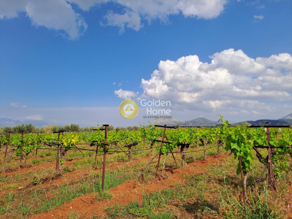 Οικόπεδο 15.200 τ.μ. προς πώληση, Ζευγολατιό Βόχας