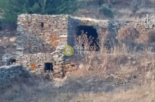 Αγροτεμάχια 12.994 τ.μ. για πώληση