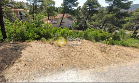 Οικόπεδο 2.060 τ.μ. για πώληση