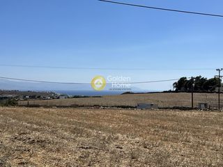 Αγροτεμάχια 8.170 τ.μ. για πώληση