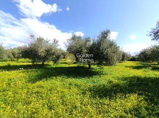 Οικόπεδο 5.145 τ.μ. για πώληση