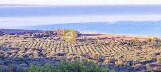 Οικόπεδο 10.778 τ.μ. για πώληση, Μεσσηνία, Αυλώνα-thumb-9