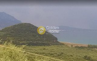 Οικόπεδο 10.778 τ.μ. για πώληση, Μεσσηνία, Αυλώνα-thumb-1