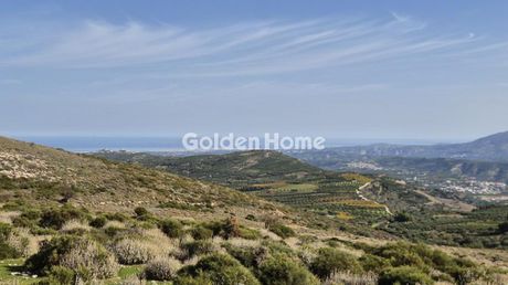 Parcel 50.000 sqm for sale