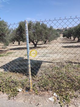 Αγροτεμάχια 5.046τ.μ. για πώληση-Ηράκλειο κρήτης » Σκαλάνι