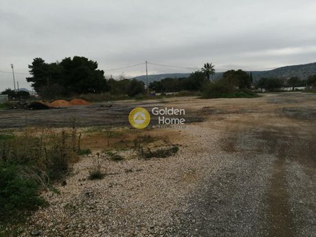 Οικόπεδο 501τ.μ. για πώληση-Βάρη- βάρκιζα » Ασύρματος αλίανθου