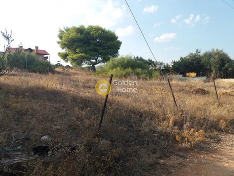 Οικόπεδο 505τ.μ. για πώληση-Κορωπί » Άγιος δημήτριος