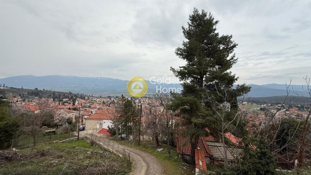 Μονοκατοικία 220 τ.μ. προς πώληση, Μονή Δαδίου