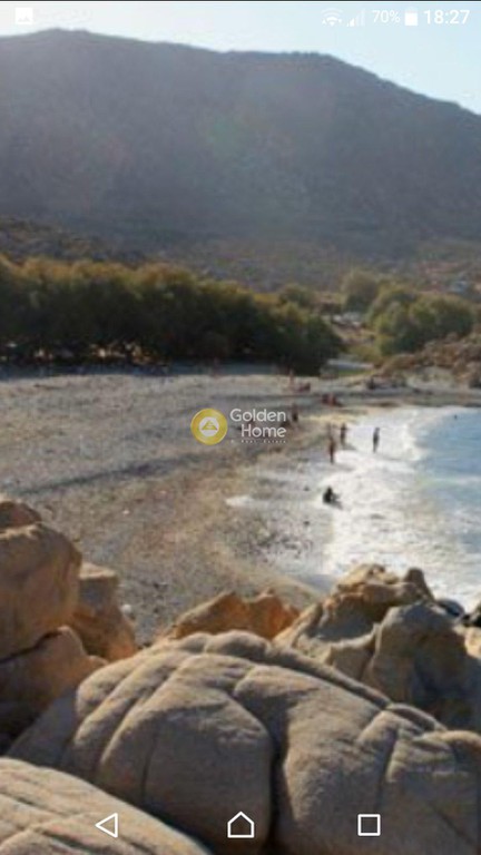 Αγροτεμάχια 4.200 τ.μ. προς ενοικίαση, Κυκλάδες, Τήνος