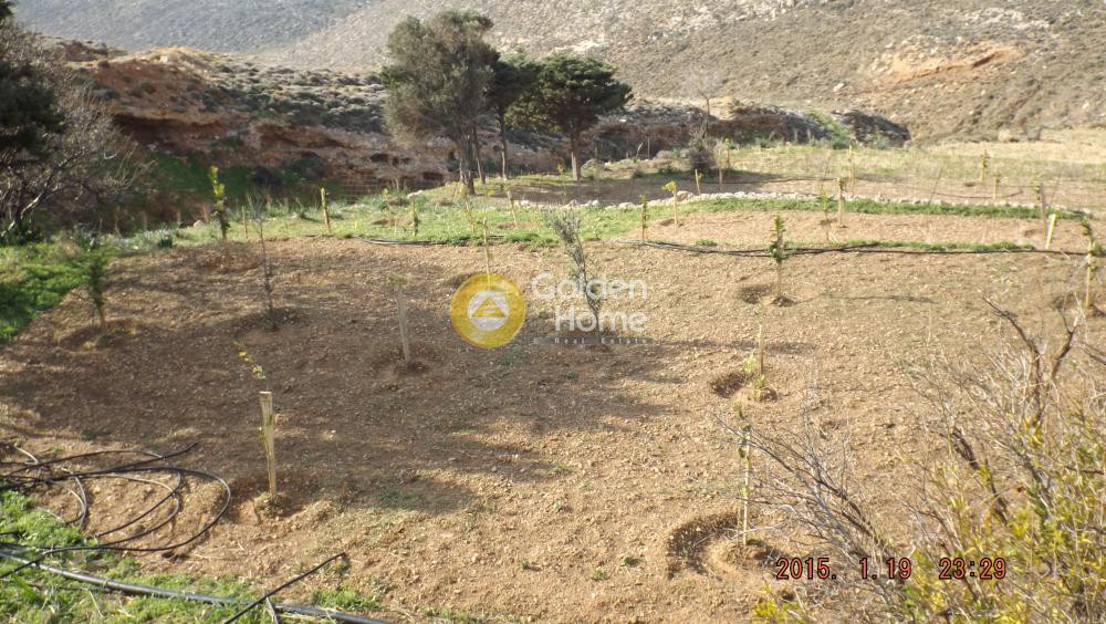 Αγροτεμάχια 26.000 τ.μ. πρός πώληση, Δωδεκάνησα, Αστυπάλαια