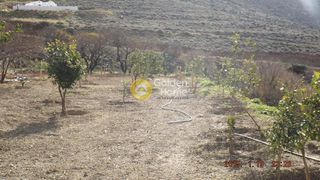 Αγροτεμάχια 26.000 τ.μ. για πώληση