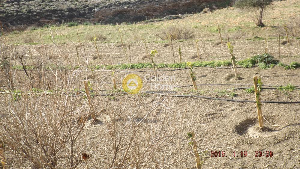 Αγροτεμάχια 26.000 τ.μ. πρός πώληση, Δωδεκάνησα, Αστυπάλαια