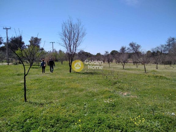 Parcel 5.852 sqm for rent, Athens - West, Acharnes