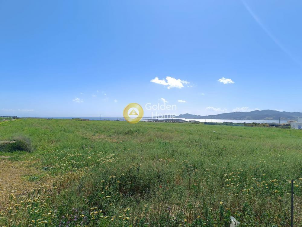 Οικόπεδο 18.958 τ.μ. προς πώληση, Γλυσίδια