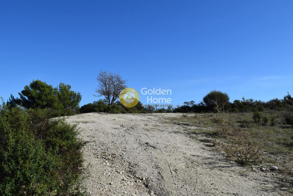 Αγροτεμάχια 4.043 τ.μ. προς πώληση, Αγία Παρασκευή Παλλήνης