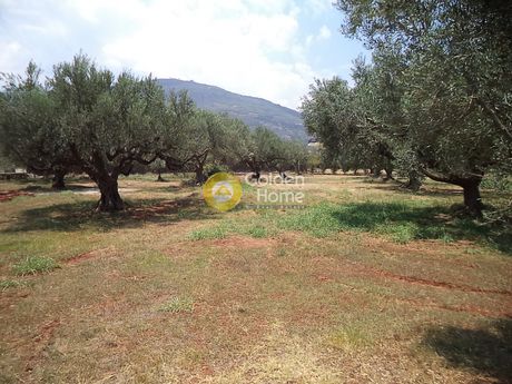 Land plot 980sqm for sale-Akrata » Silivainiotika