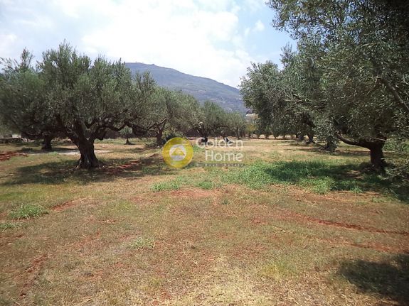 Οικόπεδο 980 τ.μ. για πώληση, Αχαΐα, Ακράτα