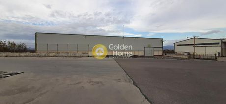 Warehouse 6.000sqm for rent-Thiva » Ampelochori