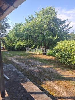 Συγκρότημα διαμερισμάτων 110τ.μ. για πώληση-Πρέβεζα » Κέντρο