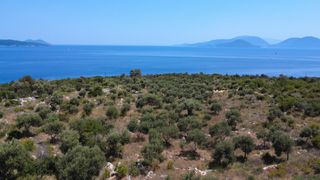 Αγροτεμάχια 11.700 τ.μ. για πώληση, Ν. Λευκάδας, Λευκάδα-thumb-13