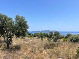 Αγροτεμάχια 11.700 τ.μ. για πώληση, Ν. Λευκάδας, Λευκάδα-thumb-10