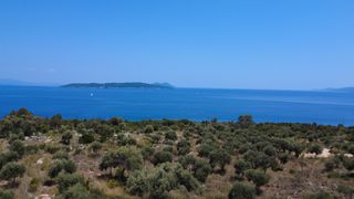 Αγροτεμάχια 11.700 τ.μ. για πώληση, Ν. Λευκάδας, Λευκάδα-thumb-7