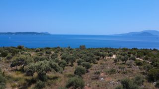 Αγροτεμάχια 11.700 τ.μ. για πώληση, Ν. Λευκάδας, Λευκάδα-thumb-6