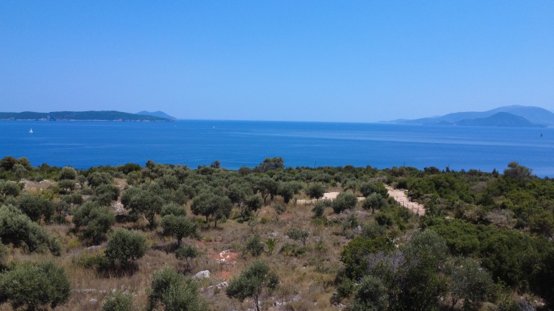 Αγροτεμάχια 11.700 τ.μ. προς πώληση, Απολλώνιο