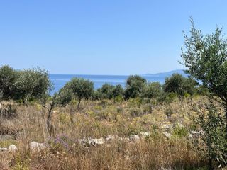 Αγροτεμάχια 11.700 τ.μ. για πώληση, Ν. Λευκάδας, Λευκάδα-thumb-11