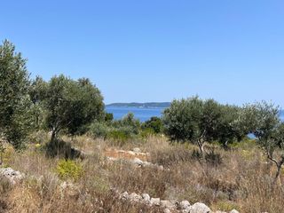 Αγροτεμάχια 11.700 τ.μ. για πώληση, Ν. Λευκάδας, Λευκάδα-thumb-9