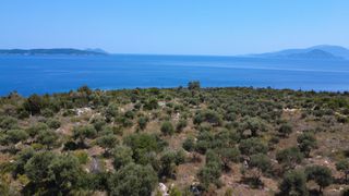 Αγροτεμάχια 11.700 τ.μ. για πώληση, Ν. Λευκάδας, Λευκάδα-thumb-14