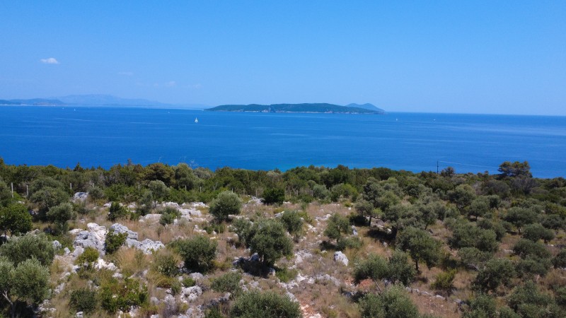 Αγροτεμάχια 11.700 τ.μ. προς πώληση, Απολλώνιο