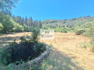 Οικόπεδο 5.347 τ.μ. για πώληση, Ν. Κέρκυρας, Κέρκυρα-thumb-4