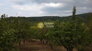 Αγροτεμάχια 11.485 τ.μ. προς πώληση
