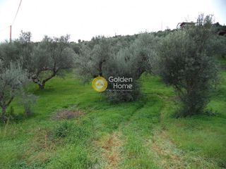Αγροτεμάχια 849 τ.μ. για πώληση