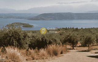 Οικόπεδο 6.737 τ.μ. για πώληση
