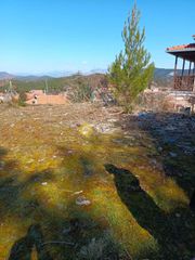 Οικόπεδο 639 τ.μ. για πώληση, Αρκαδία, Βιτίνα-thumb-2