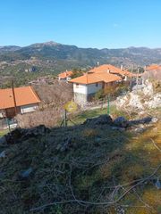 Οικόπεδο 639 τ.μ. για πώληση, Αρκαδία, Βιτίνα-thumb-8