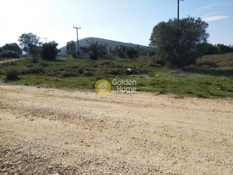 Αγροτεμάχια 4.650 τ.μ. για πώληση