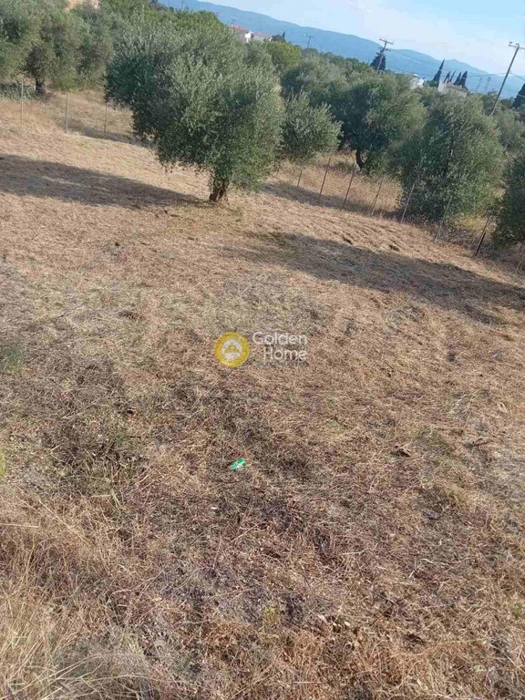Οικόπεδο 376 τ.μ. προς πώληση, Άνω Βάθεια