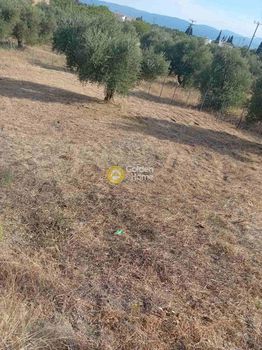 Land plot 376 sqm for sale