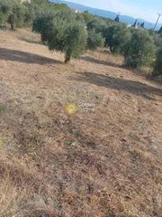 Οικόπεδο 376 τ.μ. για πώληση