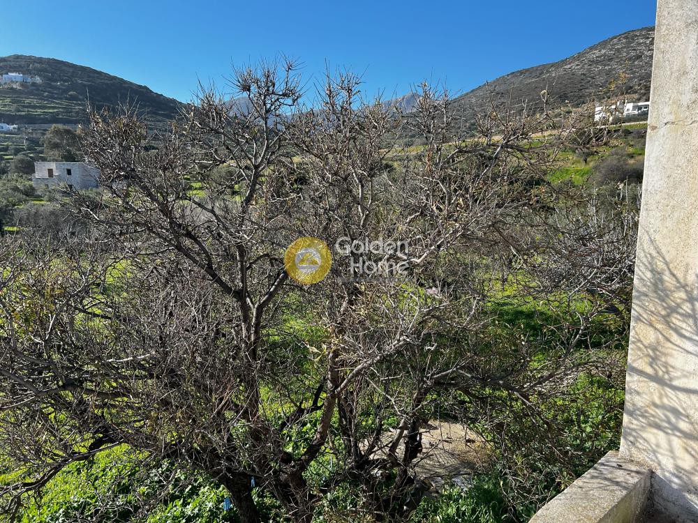 Οικόπεδο 4.320 τ.μ. προς πώληση, Κώστος