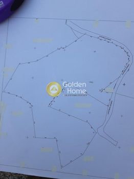 Land plot 18.000 sqm for sale