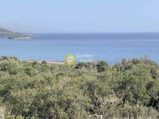 Οικόπεδο 14.000 τ.μ. για πώληση