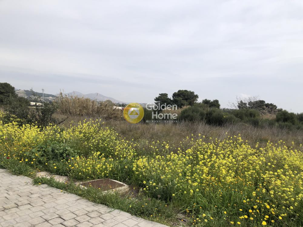 Αγροτεμάχια 15.000 τ.μ. προς ενοικίαση, Κέντρο Παλλήνης