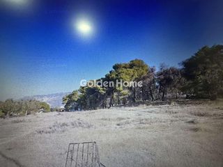 Αγροτεμάχια 2.000 τ.μ. για πώληση