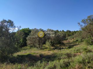 Οικόπεδο 4.783 τ.μ. για πώληση
