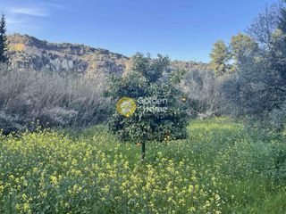 Αγροτεμάχια 5.120 τ.μ. για πώληση