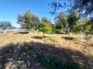 Οικόπεδο 2.426 τ.μ. προς πώληση, Μιντιλόγλι-thumb-12